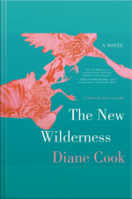 The New Wilderness