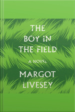 The Boy In The Field: A Novel