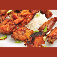 Podcast 89 - Spicy Maple-Glazed Wings A Discussion on Fossils in Amber