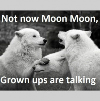 Podcast 73 - Sincere Apologies to All Ammonite Workers