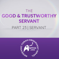 Episode 979: The Good  Trustworthy Servant | Part 23 | Servant