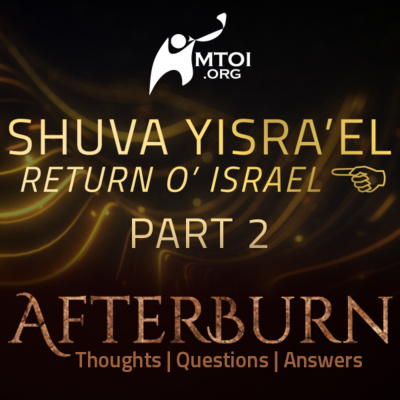 Messianic Torah Observant Israel