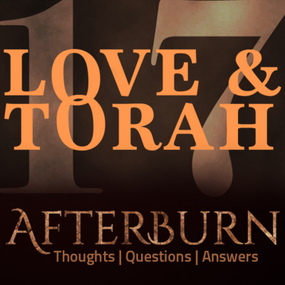 Messianic Torah Observant Israel