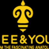 Asli Elif Tanugur Samanci Founder of Bee  You on The Mompreneur Model Show