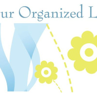 Lisa Dooley Owner of Your Organized Life in the Business Spotlight on WoMRadio