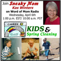 Spring Cleaning with The Sneaky Mom Kas Winters on WoMRadio