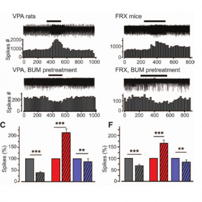 On Your Mind Neuroscience Podcast