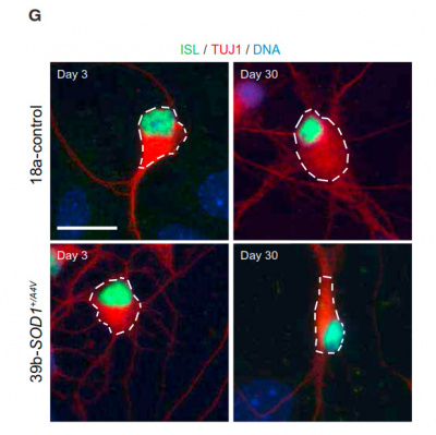 On Your Mind Neuroscience Podcast