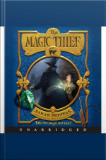 The Magic Thief
