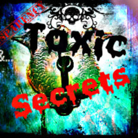Transparency  Toxic Secrets