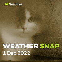 Weather Snap 1 Dec 2022