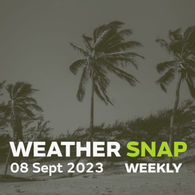 Mostly Weather