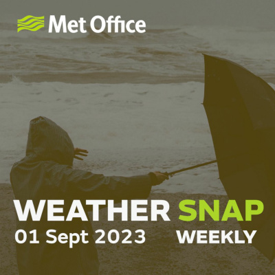Mostly Weather