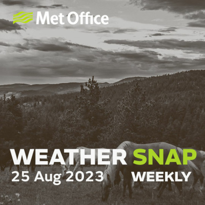 Mostly Weather