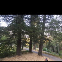 enchanted Hills Lighthouse San Francisco Such a Great Day Day One