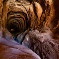 Cave Creatures