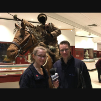 Striking War Horse At York Army Museum