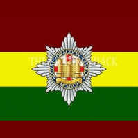 Royal Dragoon Guards - A Year In Review