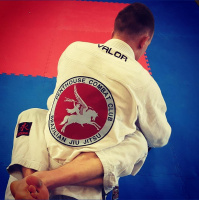 Grappling PTSD with BJJ
