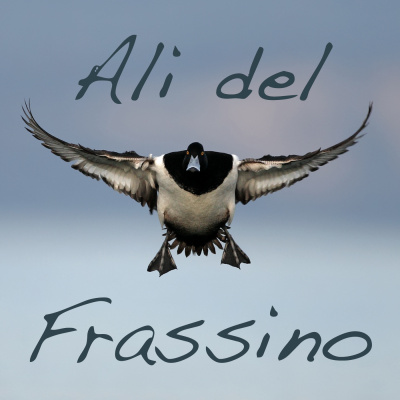 Vr Bw: Ali Del Frassino