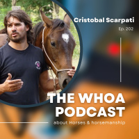 Cristobal Scarpati Horsemanship