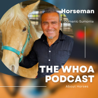 Horseman Domenico Sumonte