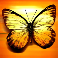 The Butterfly Effect in Hockey