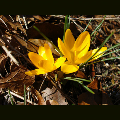 Spirit Source Connect: Infusing Spirit To Transform Your Life