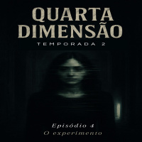 T2:E4 - O experimento