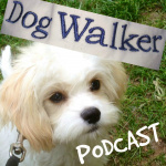 How To Start And Operate A Dog Walking And Pet Sitting Business