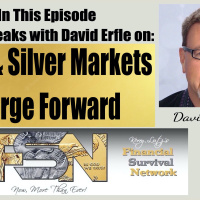 Gold and Silver Markets Surge Forward - David Erfle #6173
