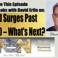 Gold Surges Past $2,900 – Whats Next? - David Erfle #6231