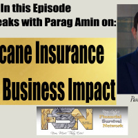 Hurricane Insurance Crisis: Business Impact - Parag Amin #6167