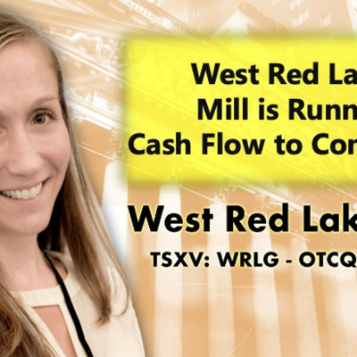 Financial Survival Network