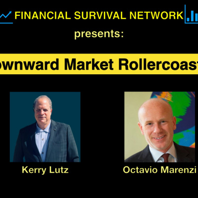 Financial Survival Network