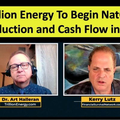 Financial Survival Network