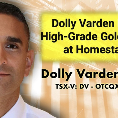 Financial Survival Network