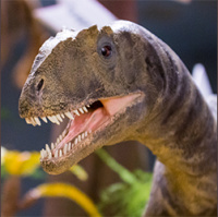 Episode 99: 10th Annual Wine and Dinosaurs Fest