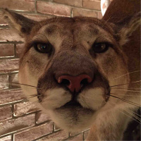 Age Your Way To Enlightenment- Podcast 207