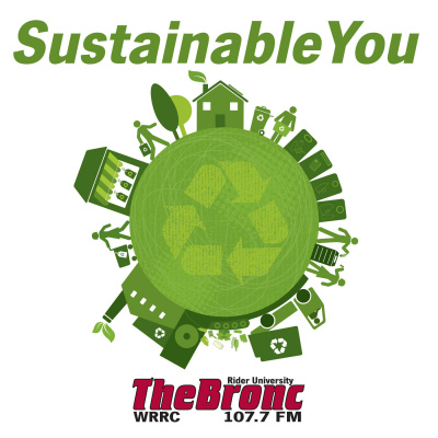 Sustainable You