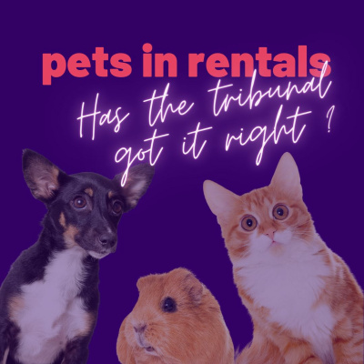 Nz Property Management Newsdesk