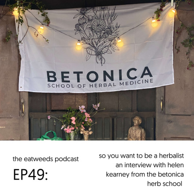 Plants  People: An Ethnobotanical Journey Through The Plant Kingdom