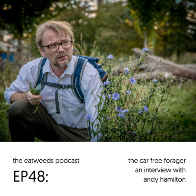 Plants  People: An Ethnobotanical Journey Through The Plant Kingdom