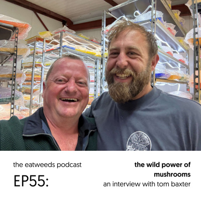 Plants  People: An Ethnobotanical Journey Through The Plant Kingdom