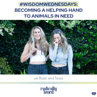 Episode 480. #WisdomWednesday Becoming a Helping Hand to Animals in Need
