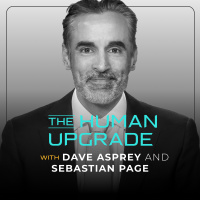 The $500 Billion Secret: Why Top Leaders Chase Stress | Sébastien Page : 1272