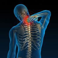 Dan Yachter  Deed Harrison - Your place or spine?: #302