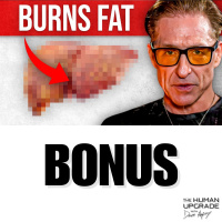 This Detox Organ Is Blocking Every Diet You Try (Heres The Fix) : 1336