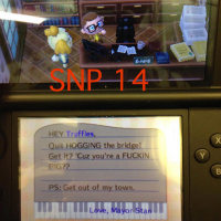 SNP 14 - Super Super Saiyan God Super Saiyan