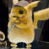 SNP 165 - Detective Pikachu